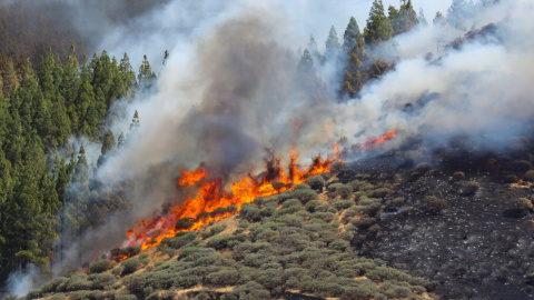 12082019.- Vista desde la Cruz de Tejeda en la mañana de este lunes en la zona arrasada por el incendio que afecta a los municipios de Tejeda, Artenara y Gáldar en Gran Canaria. EFE Elvira Urquijo A.