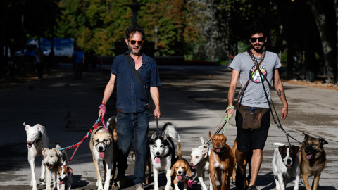 Dos hombres pasean perros en el parque de El Retiro de Madrid. AFP Dos hombres pasean perros en el parque de El Retiro de Madrid. AFP