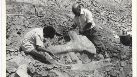 Las Zabacheras en Galve (Teruel)