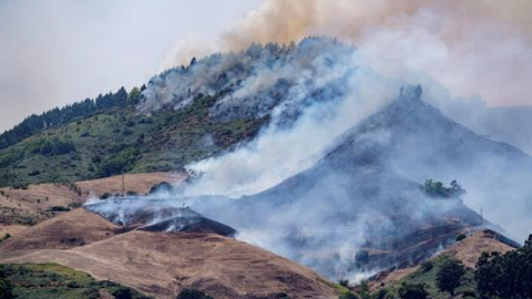 Vista del incendio forestal que comenzó el sábado en la isla de Gran Canaria . EFE/Angel Medina Vista del incendio forestal que comenzó el sábado en la isla de Gran Canaria . EFE/Angel Medina