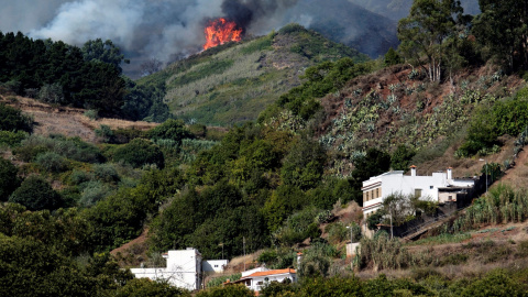 18/08/2019 -Vista del incendio forestal, localizado en el norte de la isla, con varios flancos activos favorecidos por las altas temperaturas / EFE- Ángel Medina