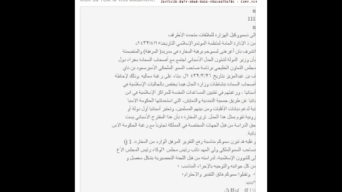 WIKILEAKS ARABIA. DOCUMENTO 06 WIKILEAKS ARABIA. DOCUMENTO 06