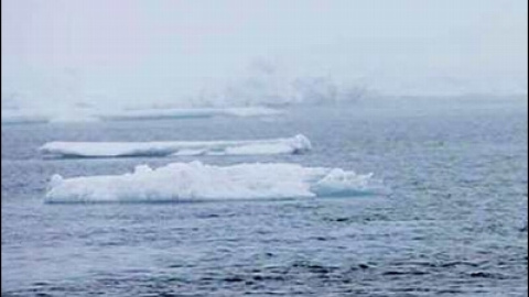 54a1cdff2614e.jpg 54a1cdff2614e.jpg