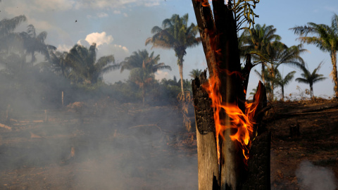 Un tramo de la Amazonia quemado por leñadores y granjeros para limpiar el terreno en Iranduba. / Reuters Un tramo de la Amazonia quemado por leñadores y granjeros para limpiar el terreno en Iranduba. / Reuters