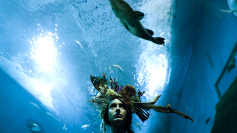 Una modelo con una creación de Luis Benítez posa durante una sesión urbana que forma parte de 'Andalucía Moda' en un acuario en Sevilla, al sur de España, 11 de noviembre de 2015. REUTERS / Marcelo del Pozo