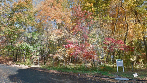 Grace Richardson Conservation. Google Maps Grace Richardson Conservation. Google Maps