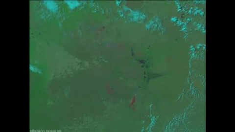 Asà avanzan sin control los incendios en el bosque del Amazonas desde el espacio Asà avanzan sin control los incendios en el bosque del Amazonas desde el espacio