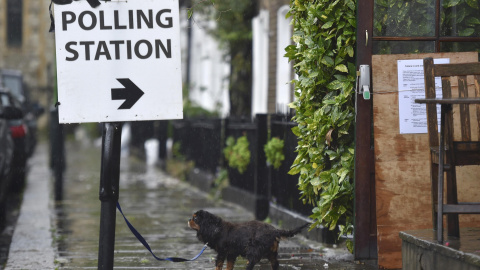 Un perro en la salida del punto de votación, en Londres