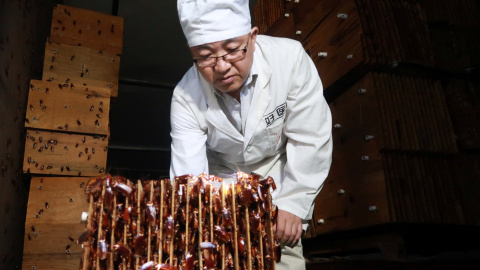 Un miembro del personal muestra cucarachas en una granja operada por la compañía farmacéutica Gooddoctor en Xichang, provincia de Sichuan, China. REUTERS / Thomas Suen
