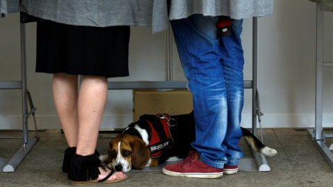 Una pareja se prepara para votar junto a su perro en Pola de Siero. REUTERS/Eloy Alonso