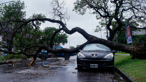 Fotografía de un árbol que cayó sobre un vehículo debido a un temporal, en Buenos Aires (Argentina), este 17 de diciembre de 2023. Fotografía de un árbol que cayó sobre un vehículo debido a un temporal, en Buenos Aires (Argentina), este 17 de diciembre de 2023.
