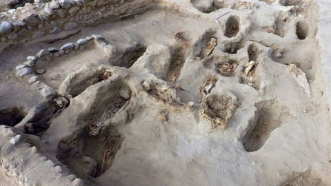 Restos humanos. AFP Restos humanos. AFP