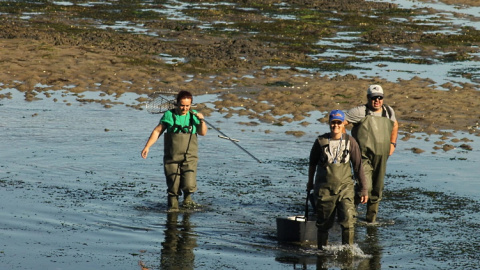 "Somos autónomas fantasma. No existimos para nadie. Pero somos mujeres y no vamos a claudicar". Raimon Moreno "Somos autónomas fantasma. No existimos para nadie. Pero somos mujeres y no vamos a claudicar". Raimon Moreno