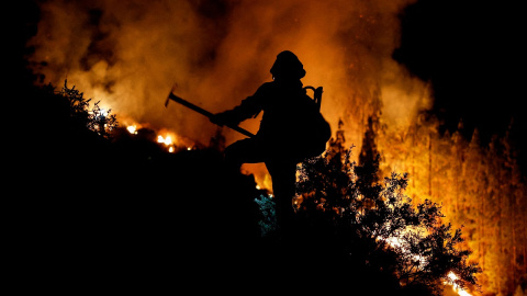 Un bombero forestal durante la extinción del incendio en Arafo en la isla de Tenerife, a 16 de agosto de 2023 Un bombero forestal durante la extinción del incendio en Arafo en la isla de Tenerife, a 16 de agosto de 2023
