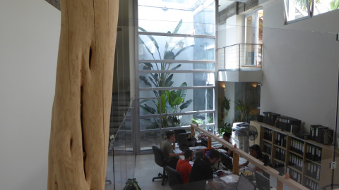 La oficina de coworking donde desarrolla su actividad la empresa Ecooo. Bordeando la palmera que caracteriza este espacio, se encuentra la escalera que da acceso a la terraza. JC La oficina de coworking donde desarrolla su actividad la empresa Ecooo. Bordeando la palmera que caracteriza este espacio, se encuentra la escalera que da acceso a la terraza. JC