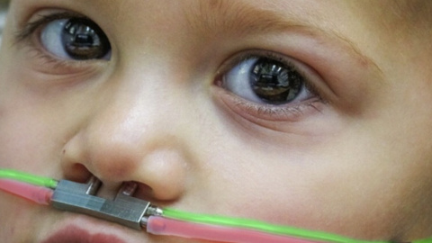 Doble cánula nasal en un niño de dos años para recibir olores y medir su reacción.- Ofer Perl. Doble cánula nasal en un niño de dos años para recibir olores y medir su reacción.- Ofer Perl.
