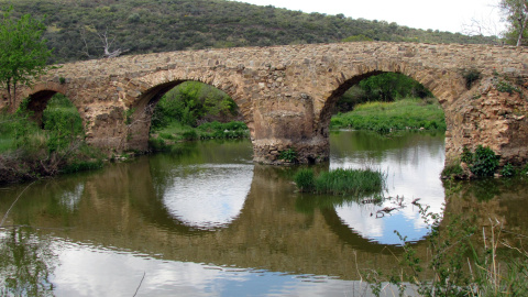 El 70% de las sustancias halladas son plaguicidas prohibidos en la Unión Europea. EFE El 70% de las sustancias halladas son plaguicidas prohibidos en la Unión Europea. EFE
