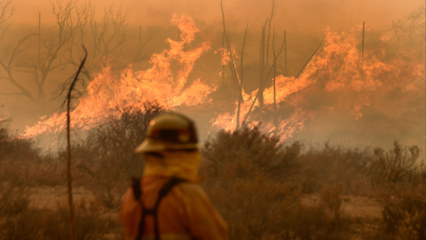 El bombero lucha contra el avance de las llamas en el incendio que arrasa los montes de San Bernardino (California, EEUU). REUTERS/Gene Blevins