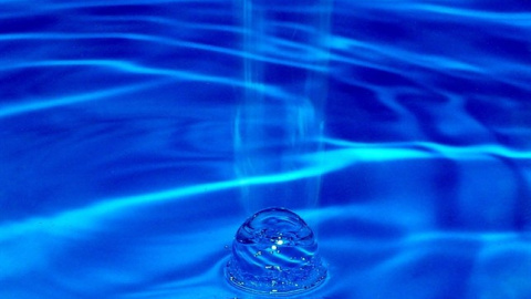 AVICENTEGIL AVICENTEGIL