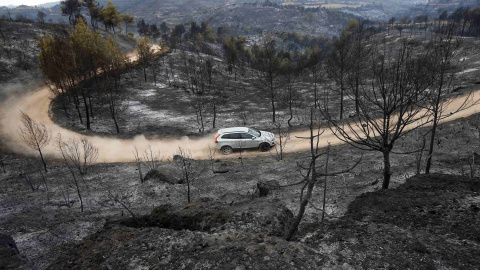 Un coche en un camino de tierra entre los últimos árboles que fueron quemados por el incendio forestal cerca de Montserrat en Sant Salvador de Guardiola, en Cataluña, España, 27 de julio 2015. REUTERS/Gustau Nacarino