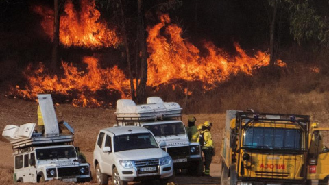 El incendio forestal declarado este jueves en el paraje El Chorrito de Paterna del Campo (Huelva) está fuera de la capacidad de extinción debido a la velocidad y la dirección del viento, sobre todo en la cabeza del fuego, que avanza a tres El incendio forestal declarado este jueves en el paraje El Chorrito de Paterna del Campo (Huelva) está fuera de la capacidad de extinción debido a la velocidad y la dirección del viento, sobre todo en la cabeza del fuego, que avanza a tres