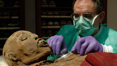 Un microbiólogo toma muestras de tejido de una momia del siglo XVIII en el Museo Húngaro de Historia Natural de Budapest. Un microbiólogo toma muestras de tejido de una momia del siglo XVIII en el Museo Húngaro de Historia Natural de Budapest.