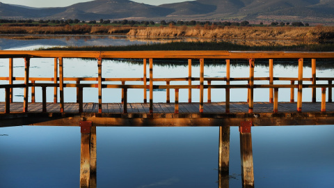 Vista general del humedal del Parque Nacional de las Tablas de Daimiel, en Ciudad Real, Castilla-La Mancha. Vista general del humedal del Parque Nacional de las Tablas de Daimiel, en Ciudad Real, Castilla-La Mancha.