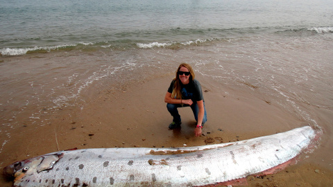 Un pez remo muerto en la playa, en la isla de Catalina, en California,. TYLER DVORAK (REUTERS)