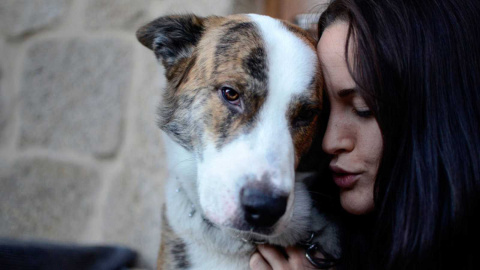 Una niña juega con su perro.- EFE Una niña juega con su perro.- EFE