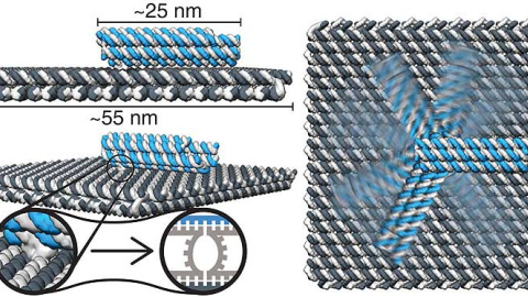 Nanorobot autoensamblado
