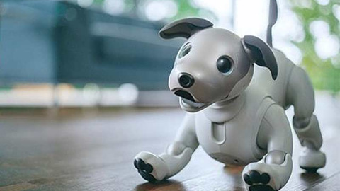 Aibo de Sony