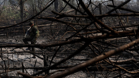 Un soldado camina por un tramo quemado del Amazonas en Rondônia. / RICARDO MORAES (REUTERS) Un soldado camina por un tramo quemado del Amazonas en Rondônia. / RICARDO MORAES (REUTERS)