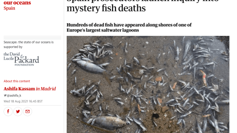 The Guardian The Guardian