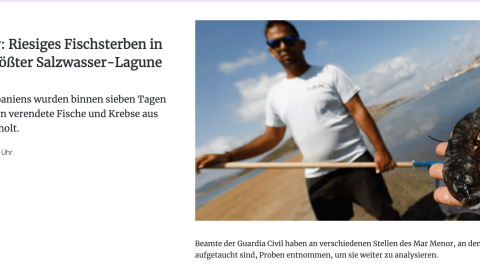 Berliner-zeitung Berliner-zeitung