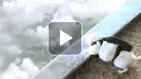 54a2113b2c1dd.jpg 54a2113b2c1dd.jpg