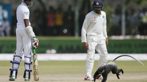 Jehan Mubarak de Sri Lanka y Rohit Sharma, de India, se sorprenden cuando un mono corre por delante de ellos en medio de su primer partido de cricket del día en Galle, Sri Lanka, 14 de agosto de 2015. REUTERS / Dinuka Liyanawatte