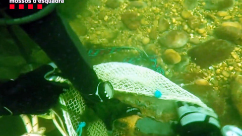 Un submarinista dels Mossos recull un artefacte explosiu submergit en un riu Un submarinista dels Mossos recull un artefacte explosiu submergit en un riu