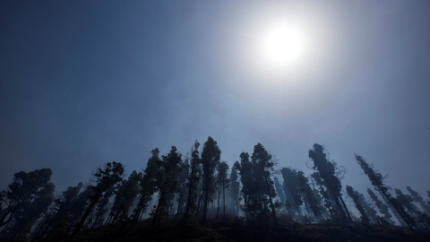 El humo del incedio visto desde el municipio de Fuencaliente. REUTERS/Borja Suarez