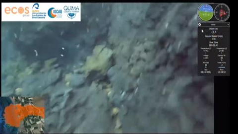 Las imágenes submarinas de la fajana de La Palma Las imágenes submarinas de la fajana de La Palma