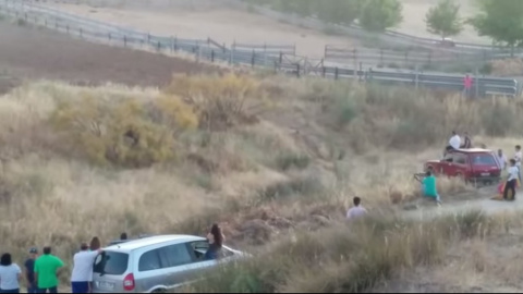 Ejecutan a una vaca en Lominchar