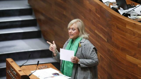 Dimite la presidenta del PP de Asturias, Mercedes Fernández. / EFE - José Luis Cereijido Dimite la presidenta del PP de Asturias, Mercedes Fernández. / EFE - José Luis Cereijido