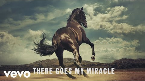 There Goes My Miracle (2019) There Goes My Miracle (2019)