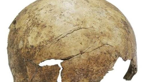 Foto: UNIVERSIDAD DE MAINZ/CHRISTIAN MEYER