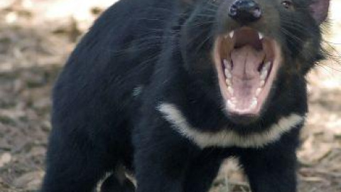 54a13938088dd.jpg 54a13938088dd.jpg