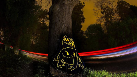 Imagen tomada con larga exposición del paso de varios vehículos junto a una instalación que forma parte del proyecto artístico "The Endemic Project", creado Bryan Little, en Ciudad del Cabo (Sudáfrica). EFE/Nic Bothma