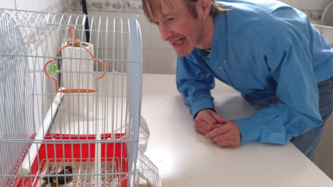 Gogui, el pequeño pájaro que le regaló un vecino, se ha convertido en el depertador de Donato. | Eduardo Bayona Gogui, el pequeño pájaro que le regaló un vecino, se ha convertido en el depertador de Donato. | Eduardo Bayona