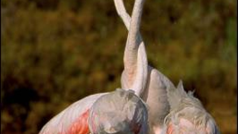 54a2395a41123.jpg 54a2395a41123.jpg