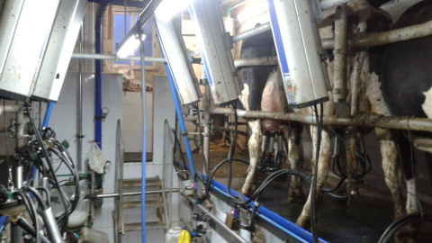 Granja de Rafael Velarde Quintana, en el Valle de Soba (Cantabria). PUBLICO Granja de Rafael Velarde Quintana, en el Valle de Soba (Cantabria). PUBLICO