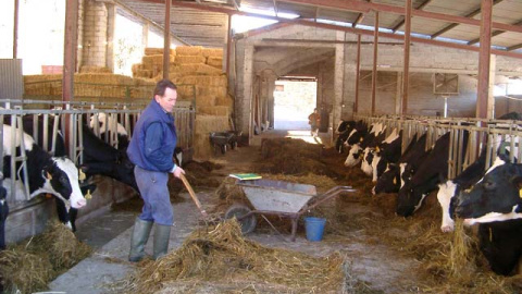 Explotación de C.B. Solapeña del ganadero Tómas Gutierez Verdek en Vizcaya. ARCHIVO Explotación de C.B. Solapeña del ganadero Tómas Gutierez Verdek en Vizcaya. ARCHIVO