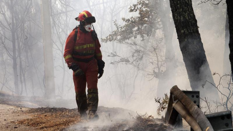 Un bombero observa una zona calcinada por el fuego en Pontevedra/EFE
